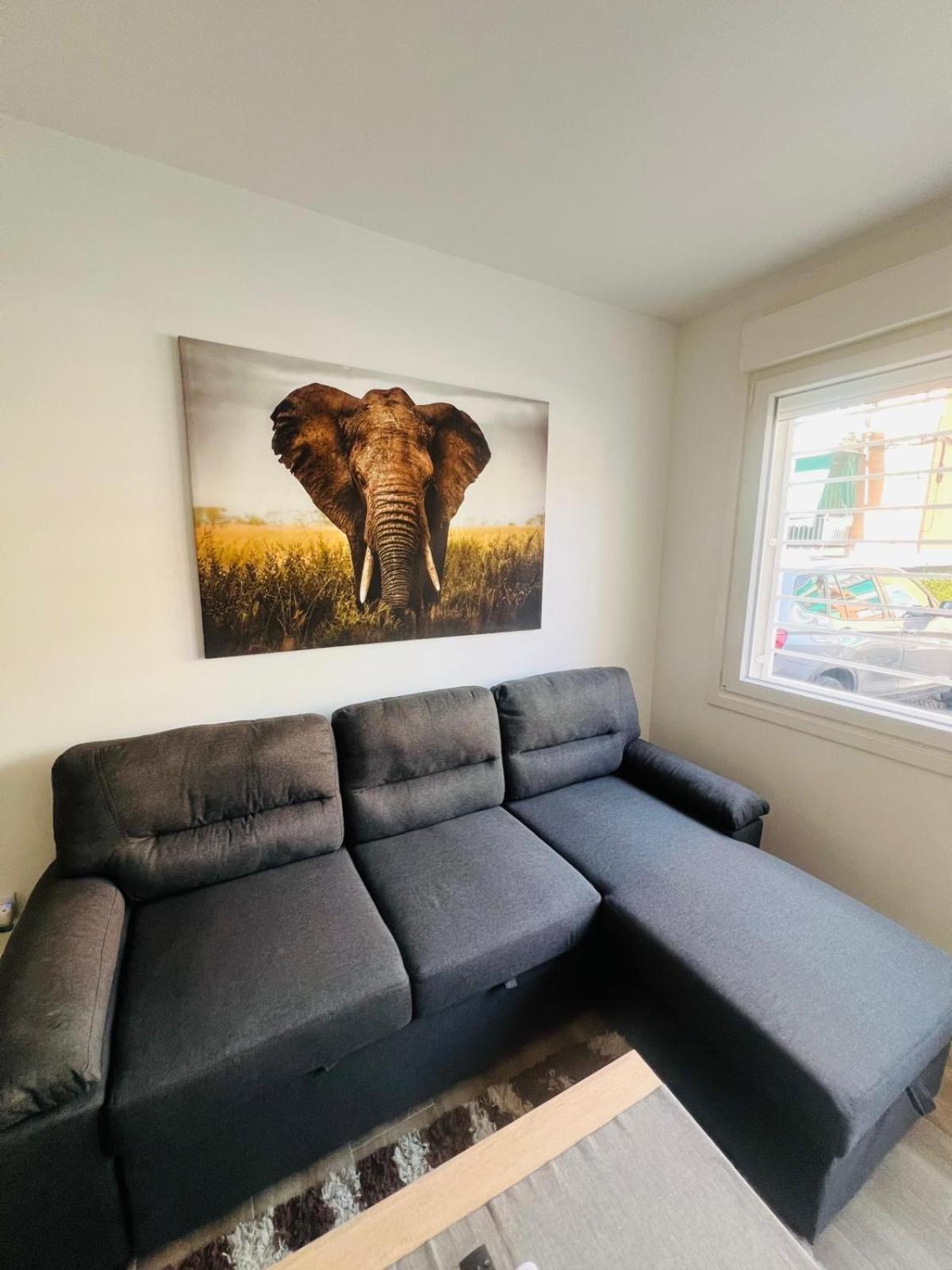 אלקובנדס Apartamento 4 Elephant Wifi Y Netflix מראה חיצוני תמונה